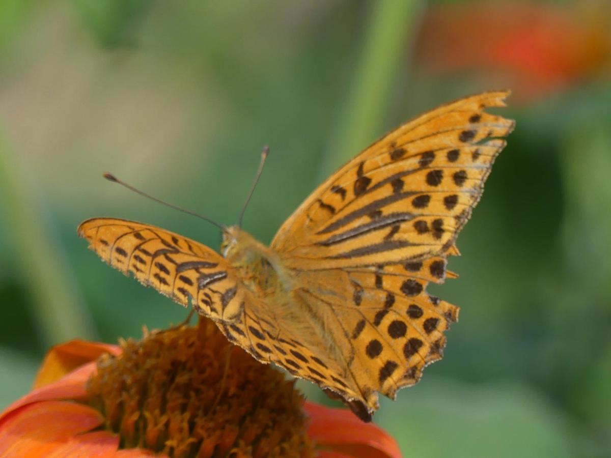 Source Nature Le Mas-d'Azil Bagian luar foto