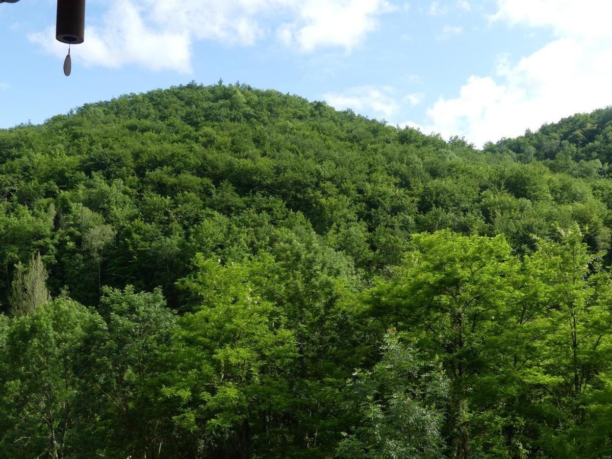 Source Nature Le Mas-d'Azil Bagian luar foto