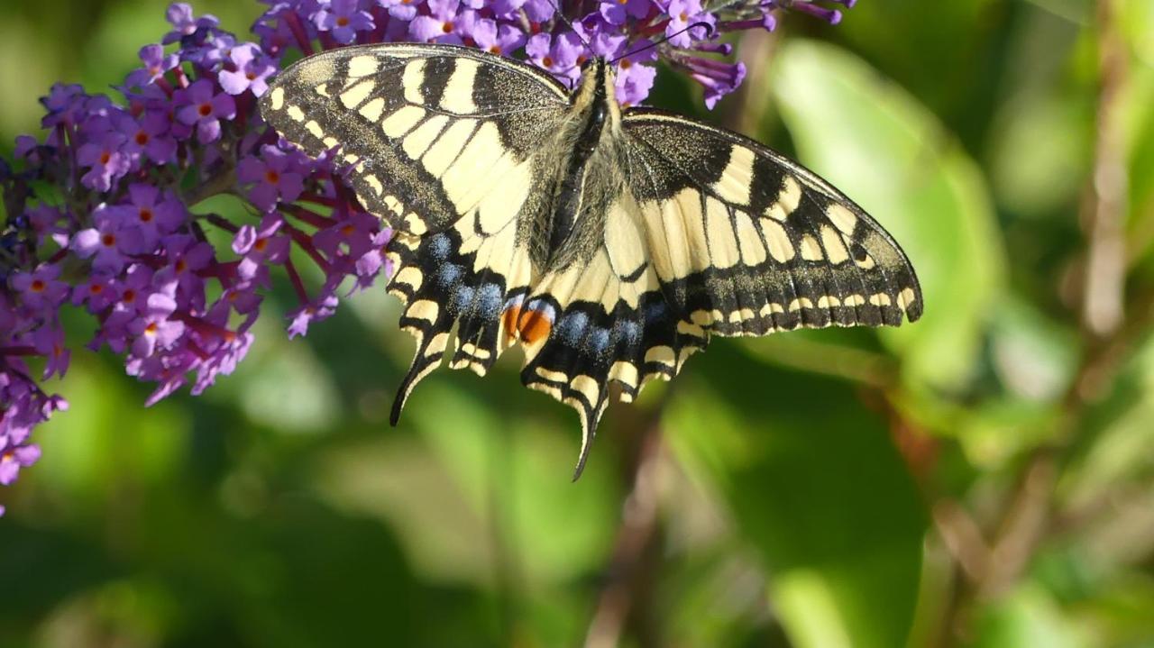 Source Nature Le Mas-d'Azil Bagian luar foto