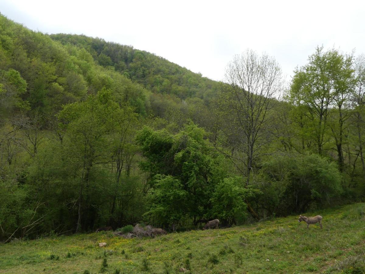 Source Nature Le Mas-d'Azil Bagian luar foto