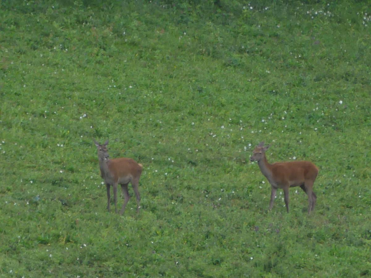 Source Nature Le Mas-d'Azil Bagian luar foto