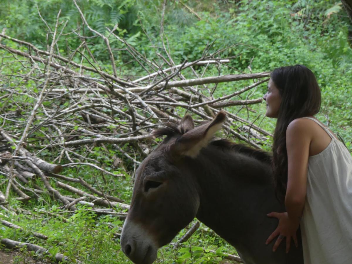 Source Nature Le Mas-d'Azil Bagian luar foto