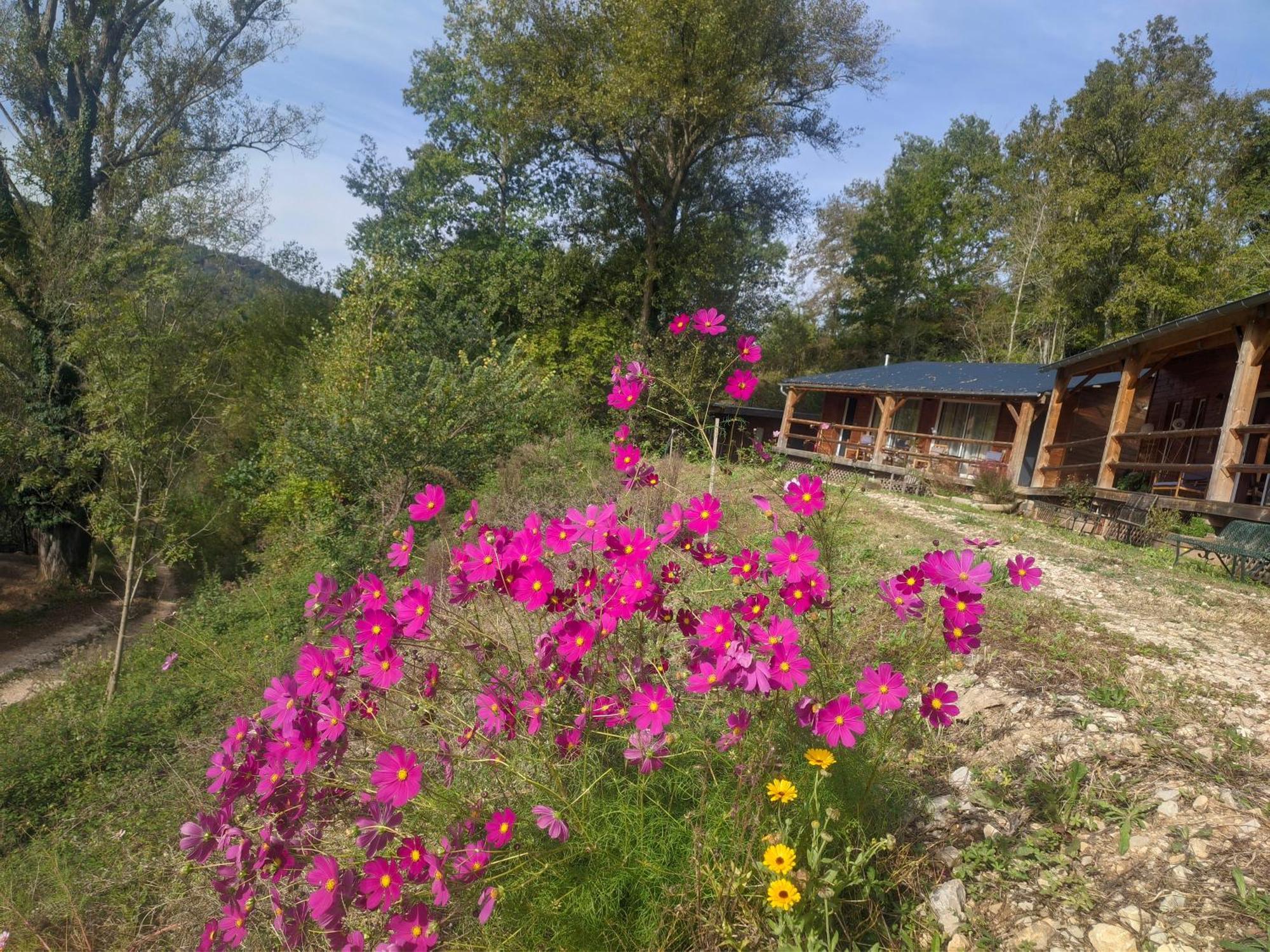 Source Nature Le Mas-d'Azil Ruang foto